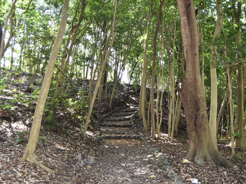 こもれびの小径